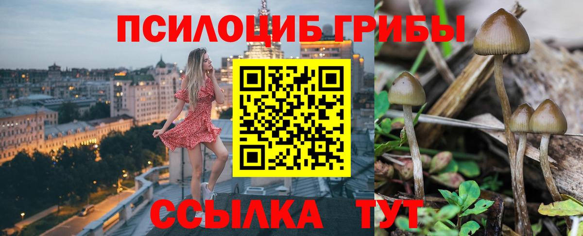 Псилоцибиновые грибы Psilocybine cubensis  Вход с VPN  Фрязино 
